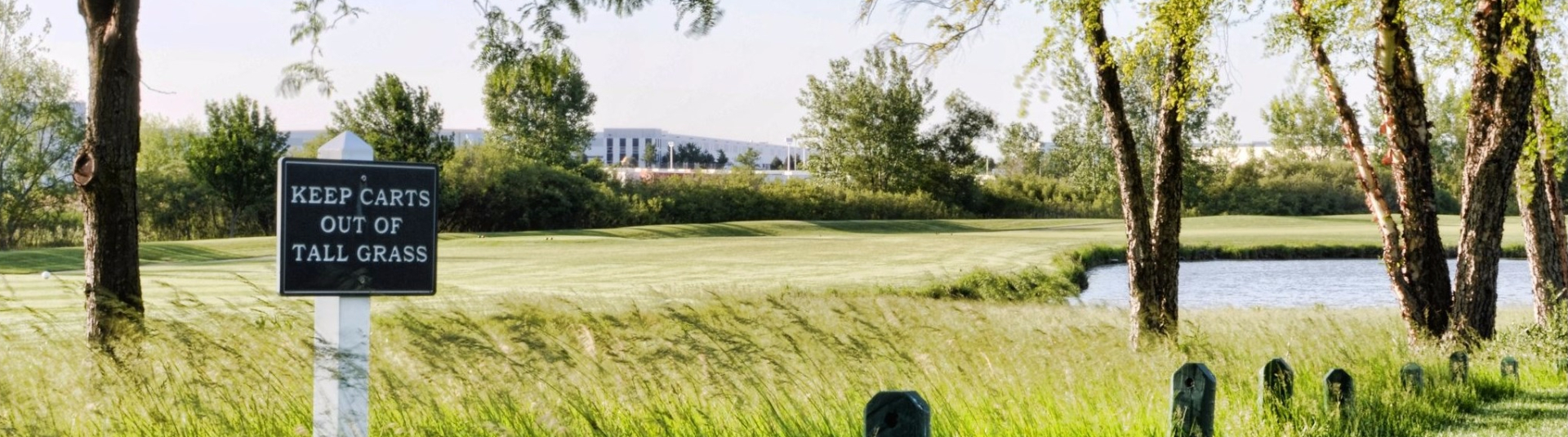 Image of golf ball on tee on grass.